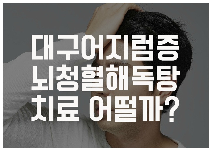 대구어지럼증. 뇌청혈해독탕 치료 어떨까?