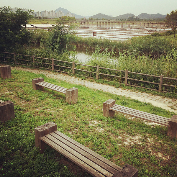 201407 소래습지생태공원