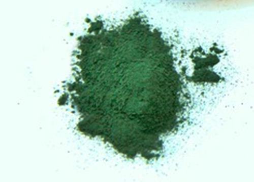 스피루리나(spirulina)는 지구에서 가장 오래된 녹색의 미세 조류