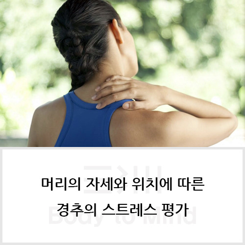 머리(head)의 자세(posture)와 위치(position)에 따른 경추(cervical spine)의 스트레스 평가