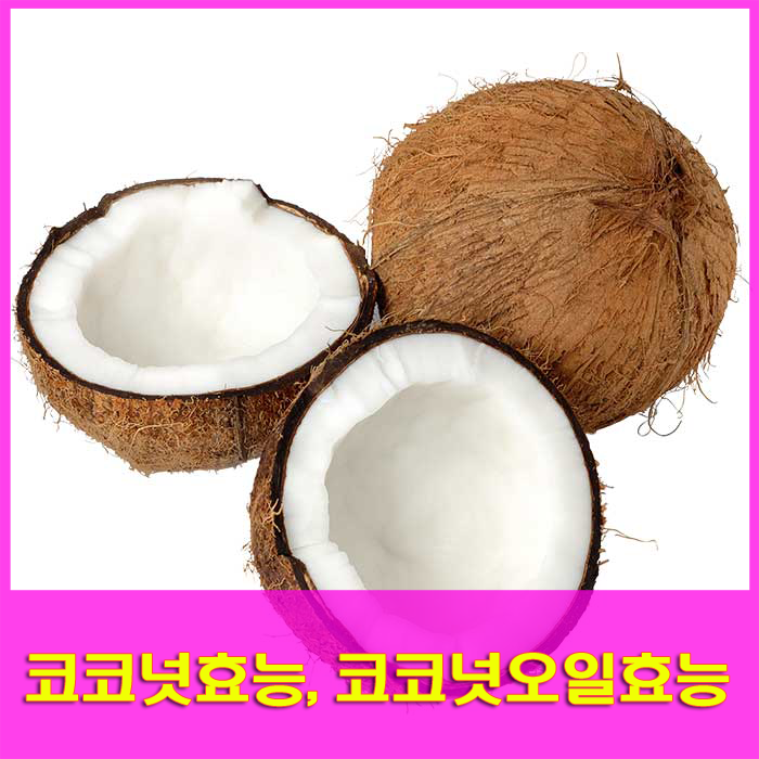 코코넛오일효능,코코넛효능,영양소 알아보기