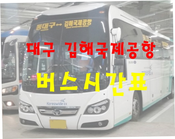 대구에서 김해국제공항 가는 법 리무진 버스 시간표 예매법-버스타고 bustago