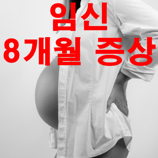 임신8개월증상 예상되는 8가지 대비책