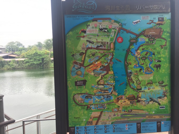 리버 사파리(River Safari), 아마존 리버 리퀘스트(Amazon River Quest) - 2016 싱가포르 여행 12