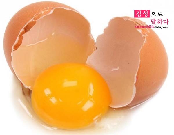 일본어 계란(타마고)의 한자표기인 卵와 玉子 차이점은?