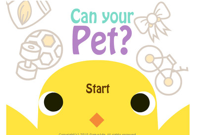 병아리키우기게임 can your pet?