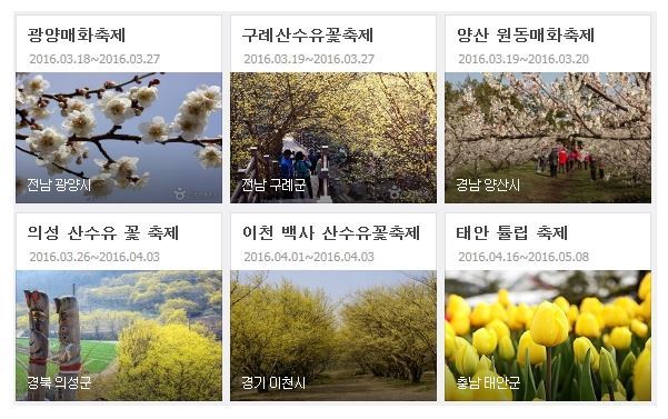 2016년 전국 주요 봄꽃 축제 일정