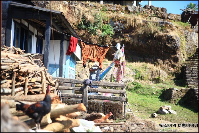 세계일주 인도여행 인도켈커타(콜카타)색다른 시장풍경