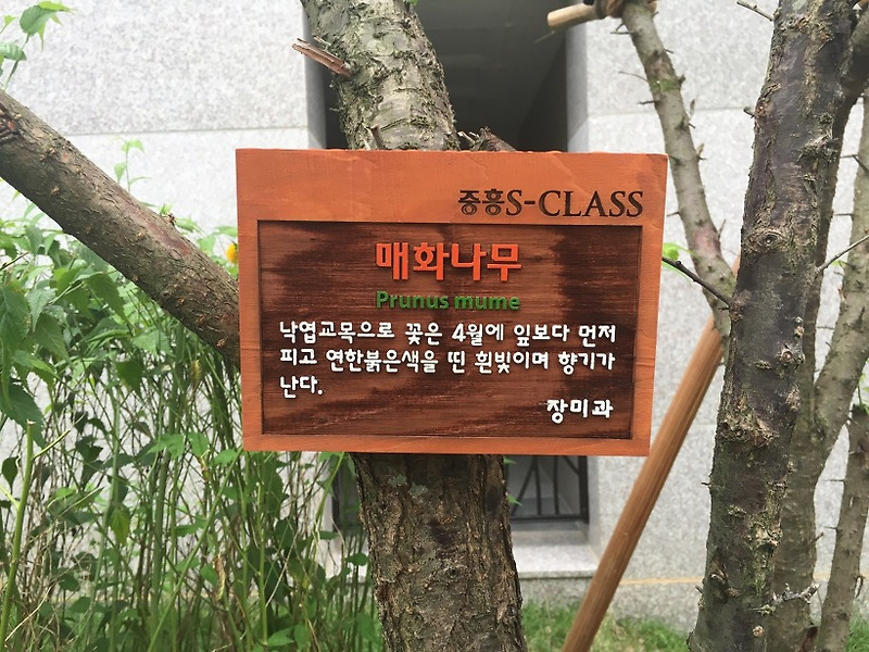 [이엠산업] 나주 혁신신도시 중흥S-클래스 수목표찰 걸이형