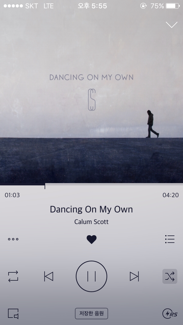 Dancing on my own-Calum Scott