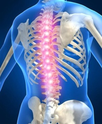 근골격계 질환 척추 골절정보