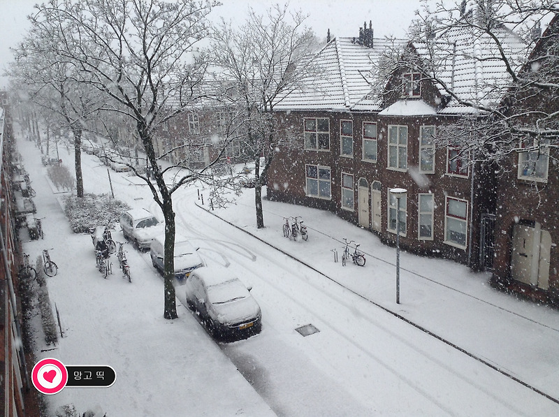 [네덜란드] 흐로닝언에 눈이 펑펑 왔어요.^^