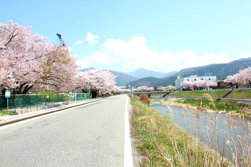 마츠모토에 찾아온 봄