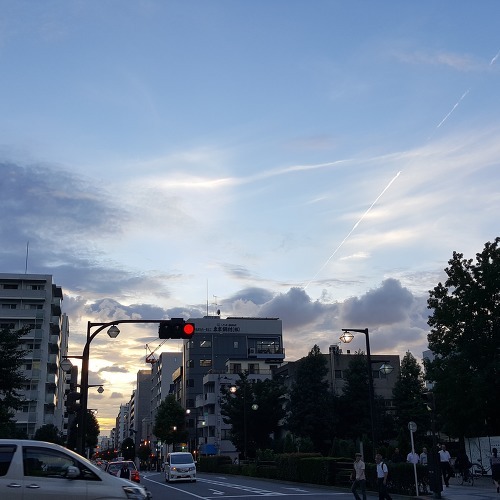 일본 도쿄, 가을 하늘 인스타그램 노을 그리고 비행기구름