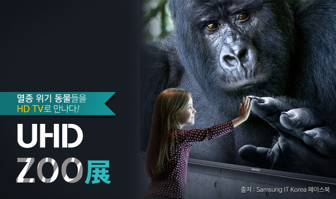 멸종 위기 동물들을 HD TV로 만나다! – UHD ZOO展