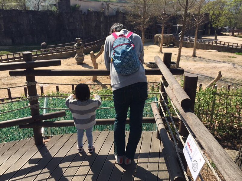 서울대공원 동물원, 어린이날, 입장료, 두돌 아이 봄 외출, 코끼리열차 이용