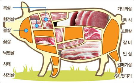 돼지 고기 부위별 명칭