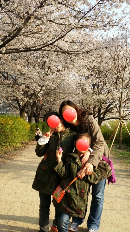 안양천 그리고 선유도공원 벚꽃놀이