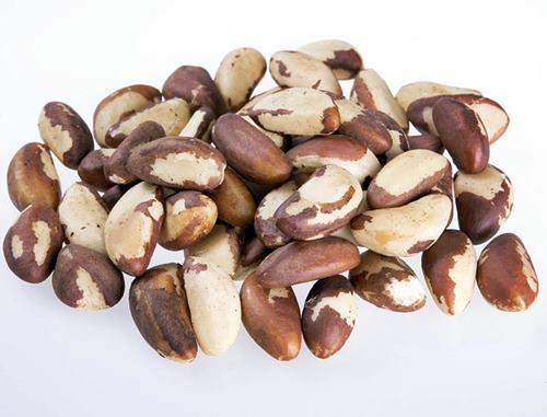 브라질 너트(Brazil Nut)는 항암식품 천연정력제