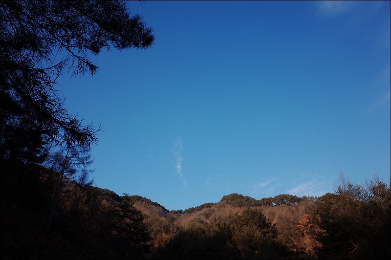 태백점집 봉화 도연산당 장보고 오다