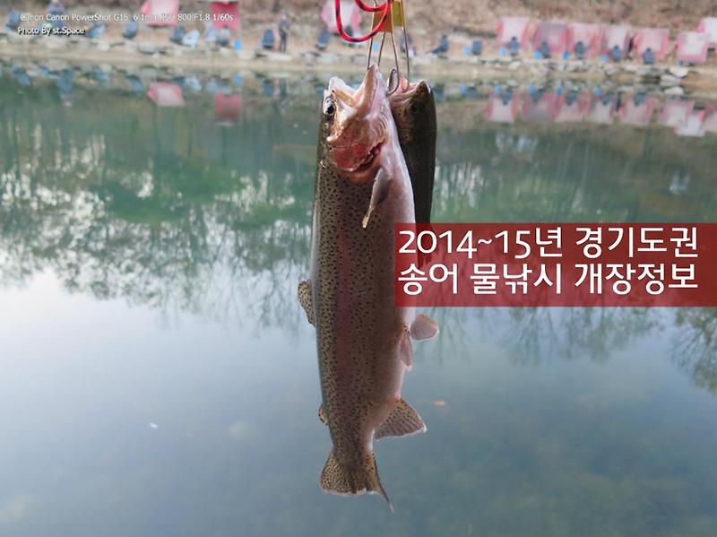 [경기도] 서울근교 송어낚시터 2014년 개장정보 -올해는 송어축제는 안습