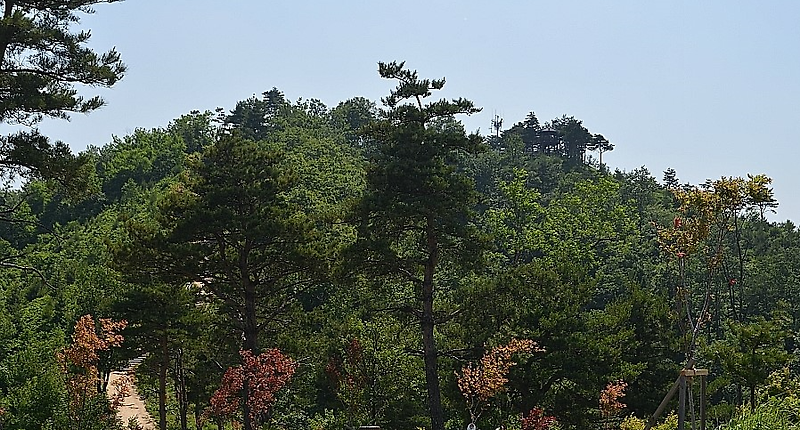 제1경 청대산