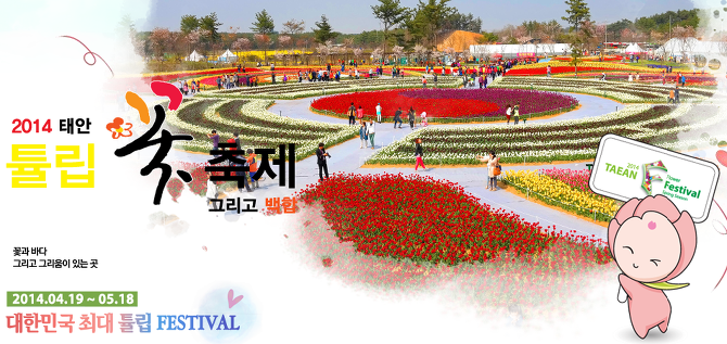 2014태안꽃축제 기간/입장료/위치 안내