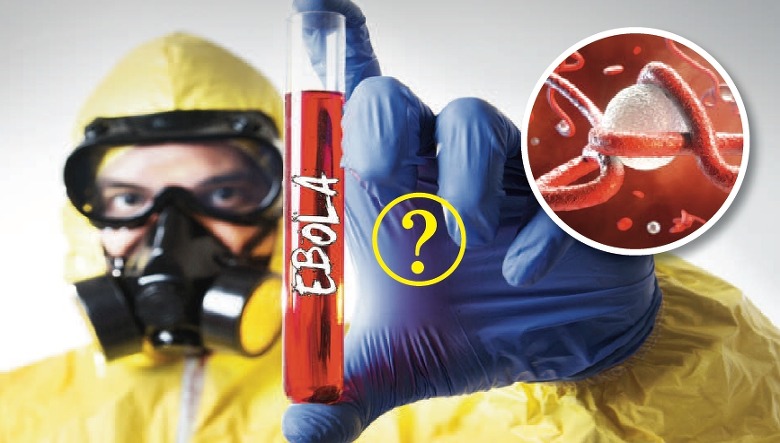 에볼라 바이러스 감염 경로와 잠복기