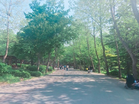 과천 서울 대공원