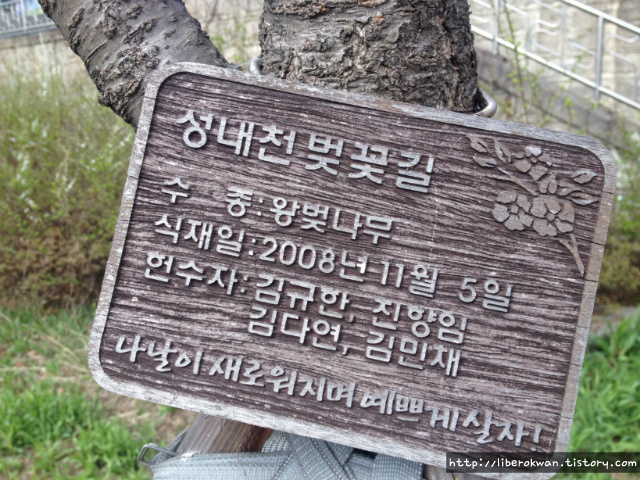 숨겨진 서울 벚꽃 명소, 성내천 벚꽃길(잠실~올림픽선수촌~마천)
