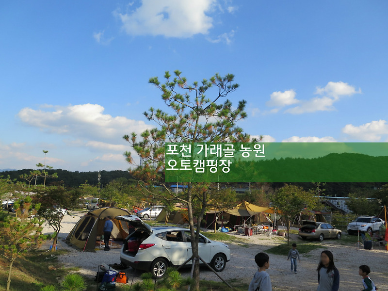 [경기도] 포천 가래골농원 오토캠핑장