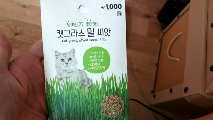 다이소, 고양이가 좋아하는 캣그라스 씨앗을 샀다!(캣닢)