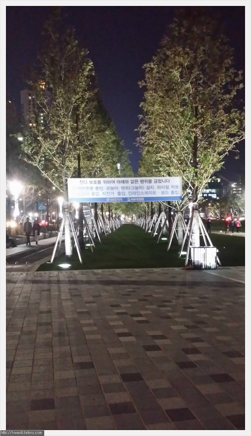 송상현 광장 야경