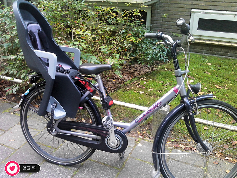 [네덜란드 자전거] 중고 자전거 구입하기