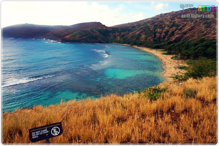 하와이 가족여행 ⑤ 거북이해변 - 고마테이라멘 - 하나우마 베이