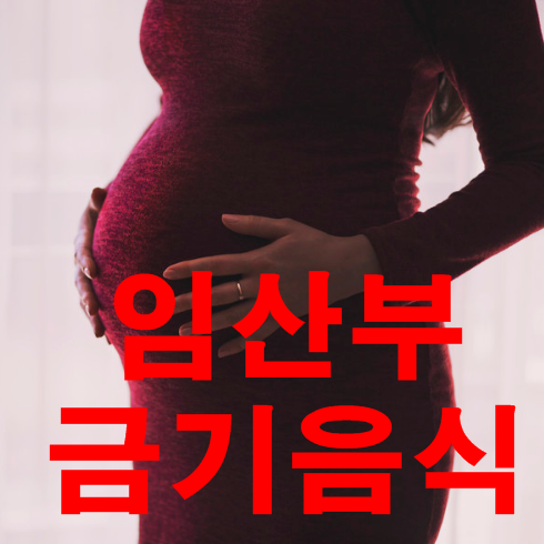 임산부 금기음식 임신중 피해야할 음식