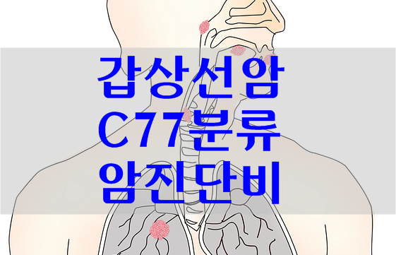 갑상선암 암진단비 림프절 전이 C77 분류코드 보험금 분쟁!
