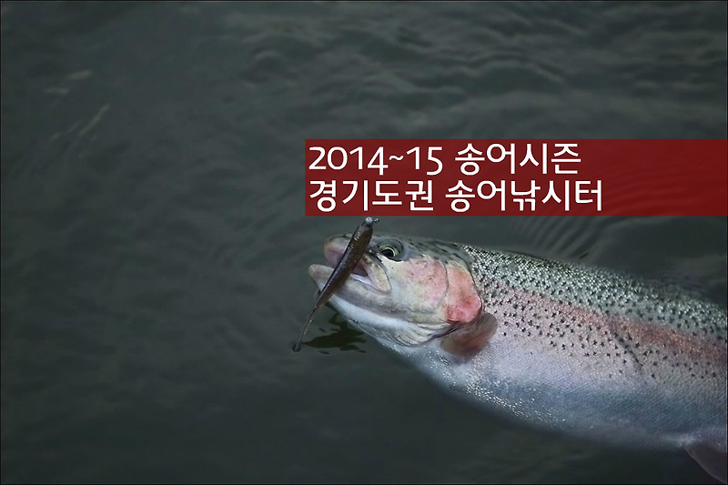 [송어낚시 시즌] 2014년 경기도 송어 낚시터 개장 정보