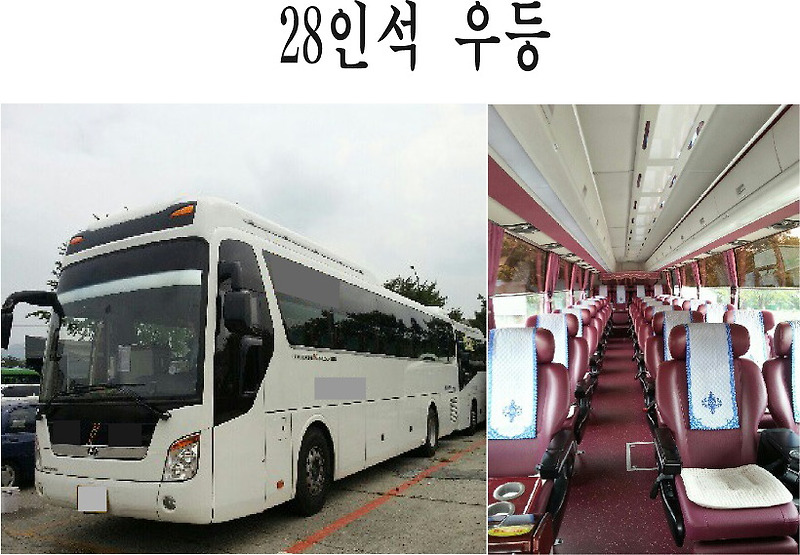 [버스25시 보유차량소개] 28인석 우등버스  미니버스우등 소형버스우등 전문 버스25시