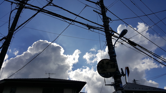 일본 워킹홀리데이 D+109 도쿄 금요일의 하늘