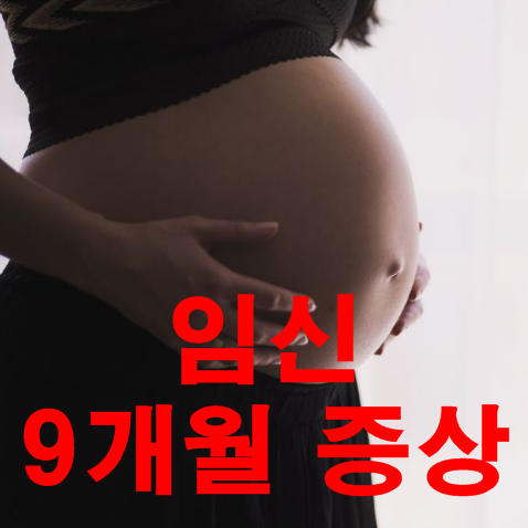 임신9개월증상 그리고 출산준비 팁