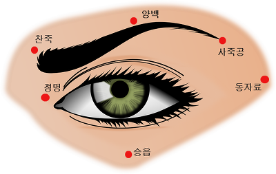 안구건조증에 효과만점인 눈 지압법, 눈 운동, 눈 호흡법. 눈에 좋은 혈자리