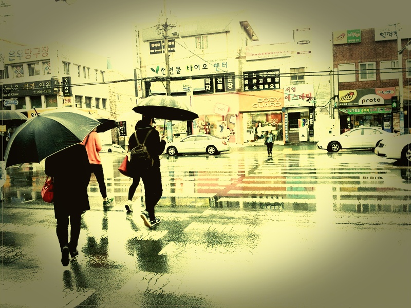 목회칼럼-비오는 날의 우산처럼