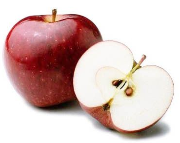 사과씨를 먹으면 위험하다?