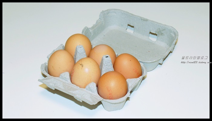 재활용 냉장고달걀판 재활용하기