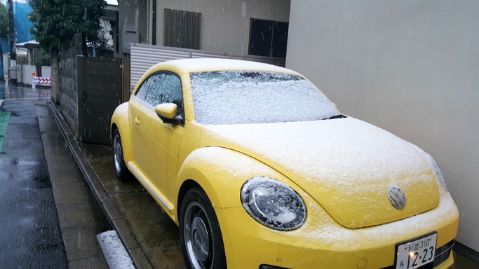 일본, 도쿄는 첫 눈이 내립니다. 그리고 또 지진 발생