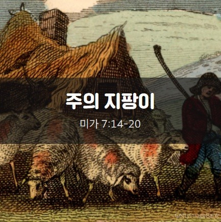 [미7:14-20] 주의 지팡이