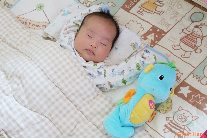 출산준비용품의 필수품 아기 수면을 도와주는 피셔프라이스 해마 인형