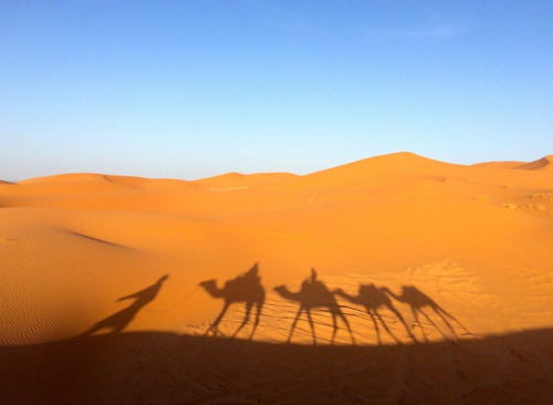 모로코여행을 사랑하는 7가지 이유