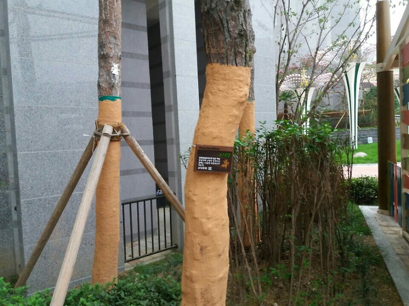 [나무간판 이엠산업] 광주 백운동 현대힐스테이트 수목표찰(조경업체 장원조경)